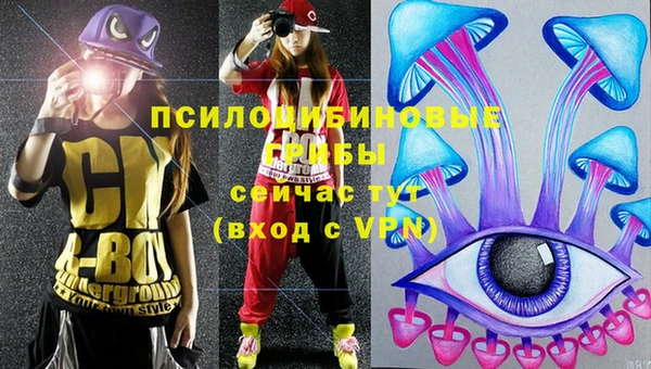 apvp Беломорск