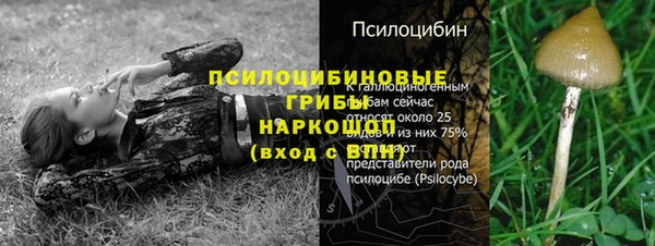 альфа пвп Покровск