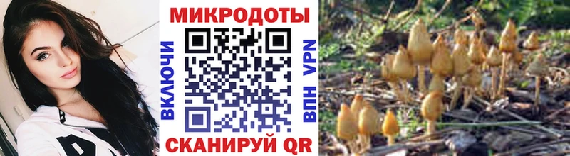 Псилоцибиновые грибы мицелий  Югорск 